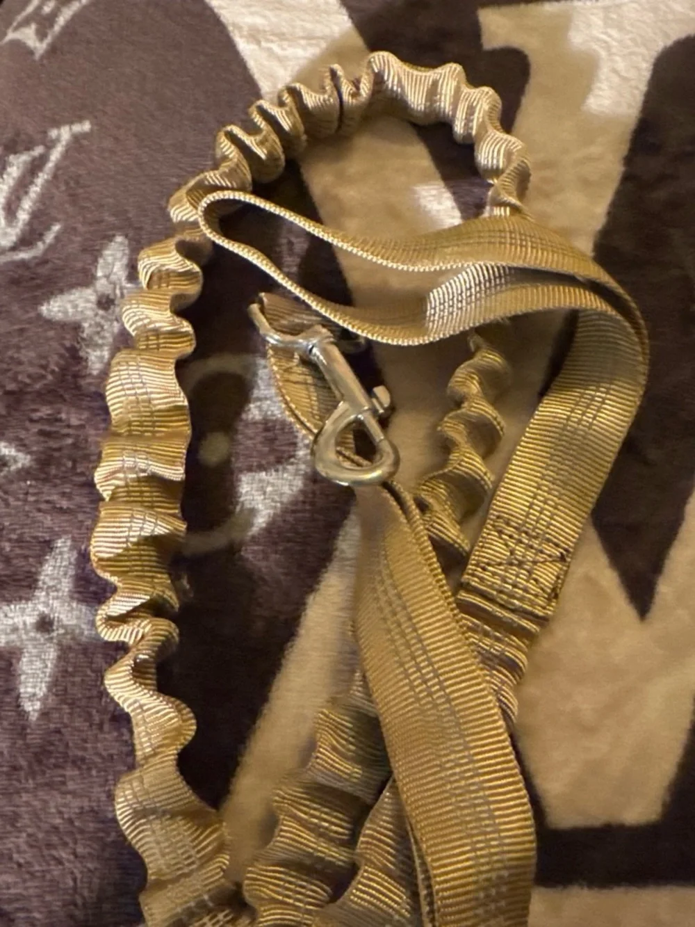 Tactical Heavy-Duty Dog Leash in Tan